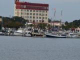 DSC_7335.JPG