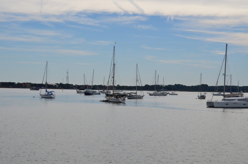 DSC_7337.JPG