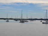 DSC_7337.JPG