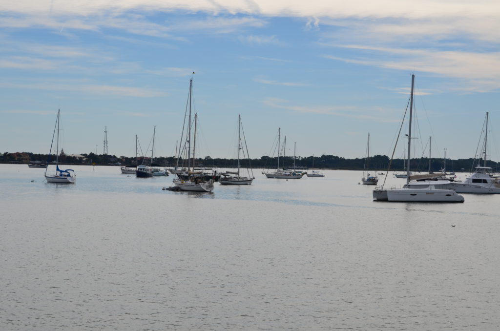 DSC_7338.JPG