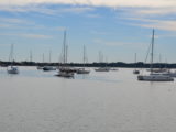 DSC_7338.JPG