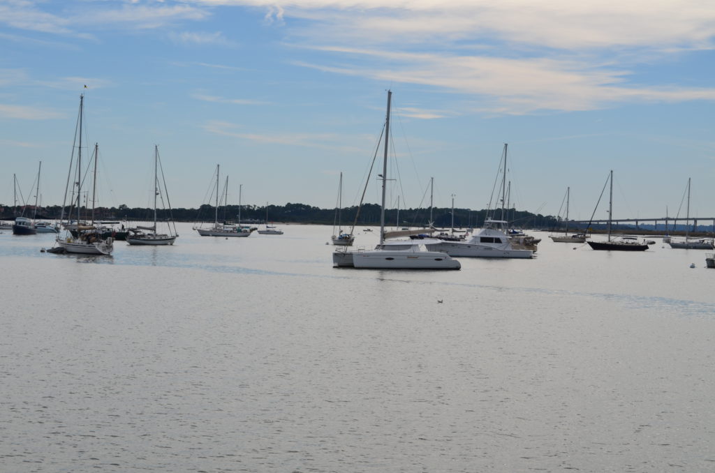 DSC_7339.JPG