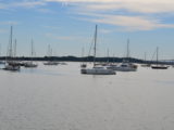 DSC_7339.JPG