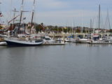 DSC_7346.JPG