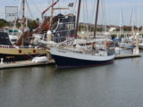 DSC_7347.JPG