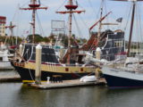DSC_7350.JPG