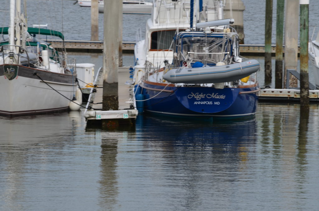 DSC_7354.JPG