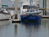 DSC_7354.JPG