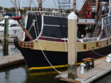 DSC_7355.JPG