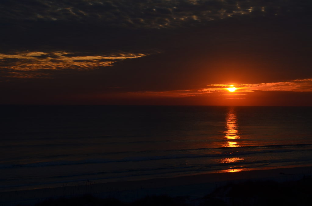 DSC_7391.JPG