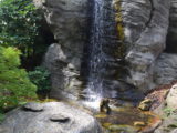 DSC_7988.JPG