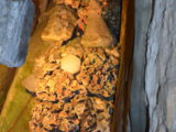 DSC_8093.JPG