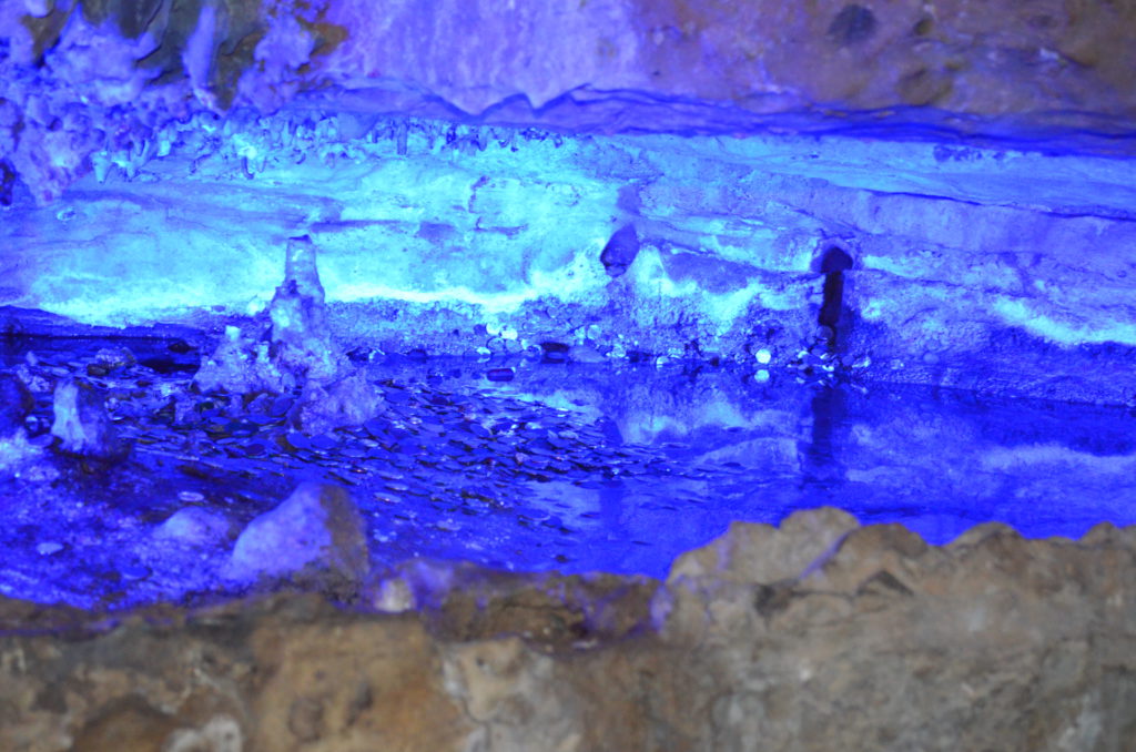 DSC_8125.JPG