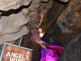 DSC_8135.JPG