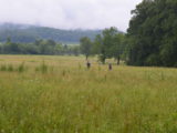 DSC_8219.JPG