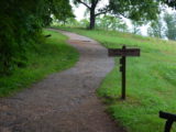 Cades Cove Trip for Lori - DSC_8251.JPG