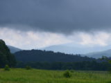 DSC_8296.JPG