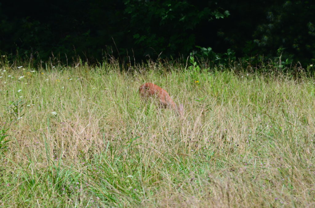 DSC_8330.JPG