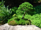 DSC_0027.JPG