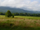 DSC_0132.JPG