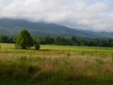 Anniversary Cades Cove Trip - DSC_0132.JPG