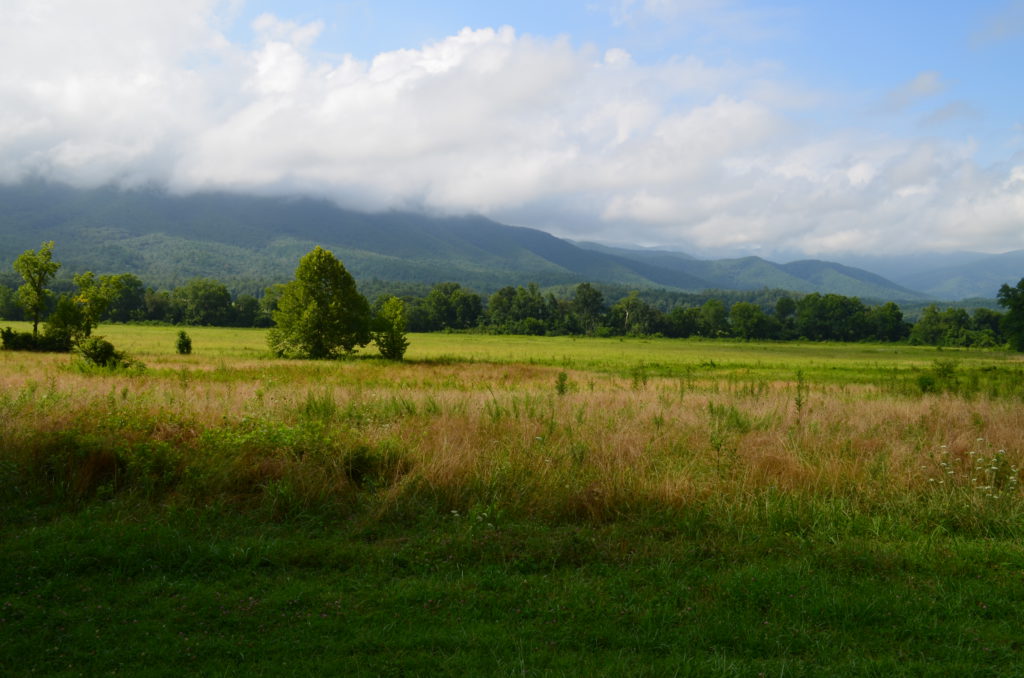 DSC_0133.JPG
