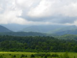 DSC_0138.JPG