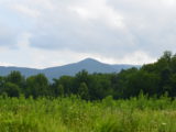 DSC_0140.JPG
