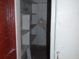 DSC_0196.JPG