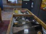 Museum Exhibits