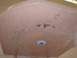 Inside the Gymnasimum