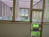 DSC_0260.JPG