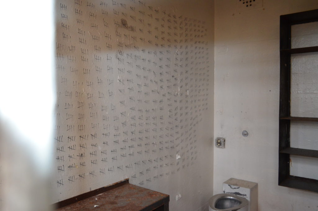 cell wall art - counting the days