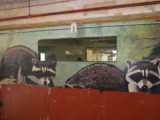 Cafeteria - Artwork by Inmates