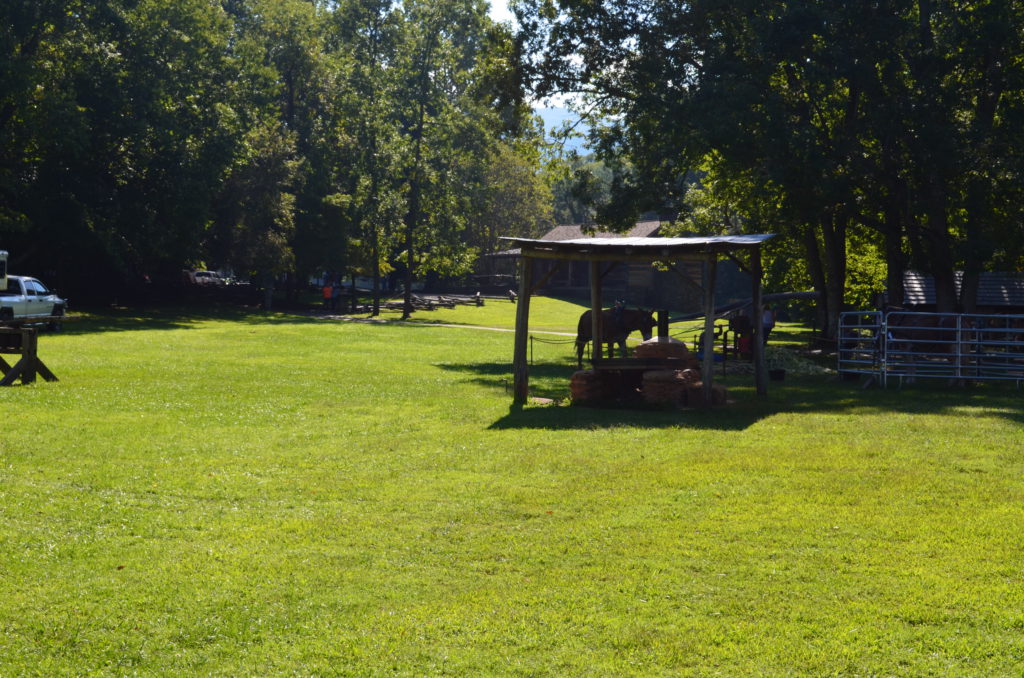 DSC_0349.JPG