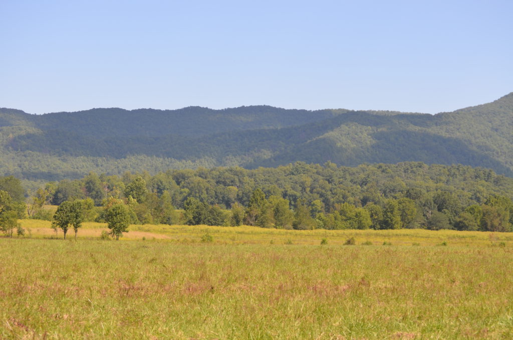 DSC_0370.JPG