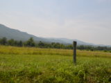 Birthday Trip to Cades Cove - DSC_0729.JPG