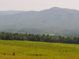 DSC_0743.JPG