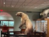 Woolaroc Museum