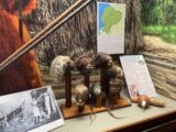 Woolaroc Museum