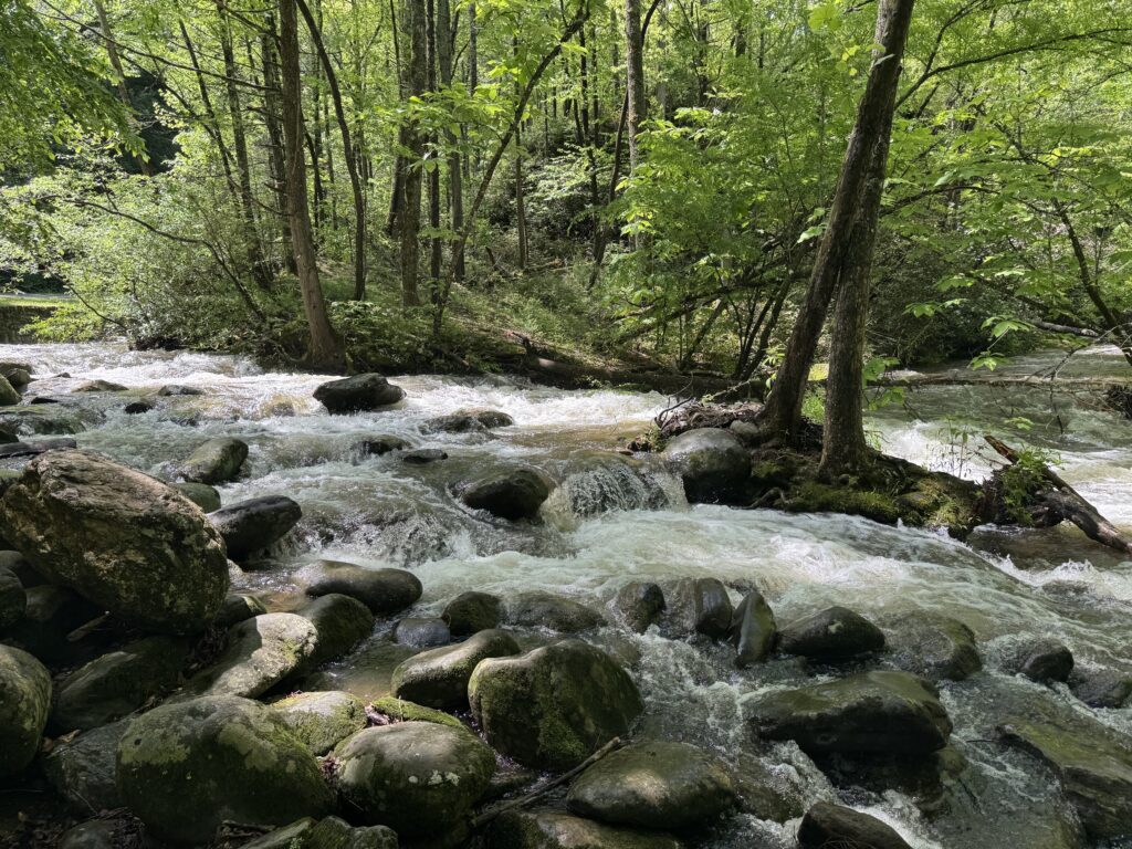IMG_1884.JPG