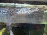 IMG_2479.HEIC