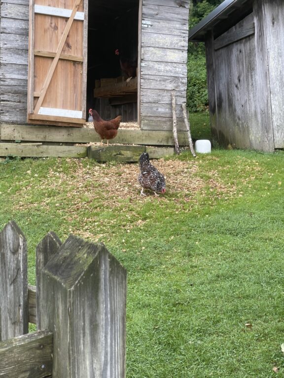 IMG_3308.HEIC
