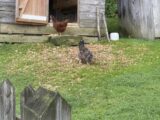 IMG_3308.HEIC