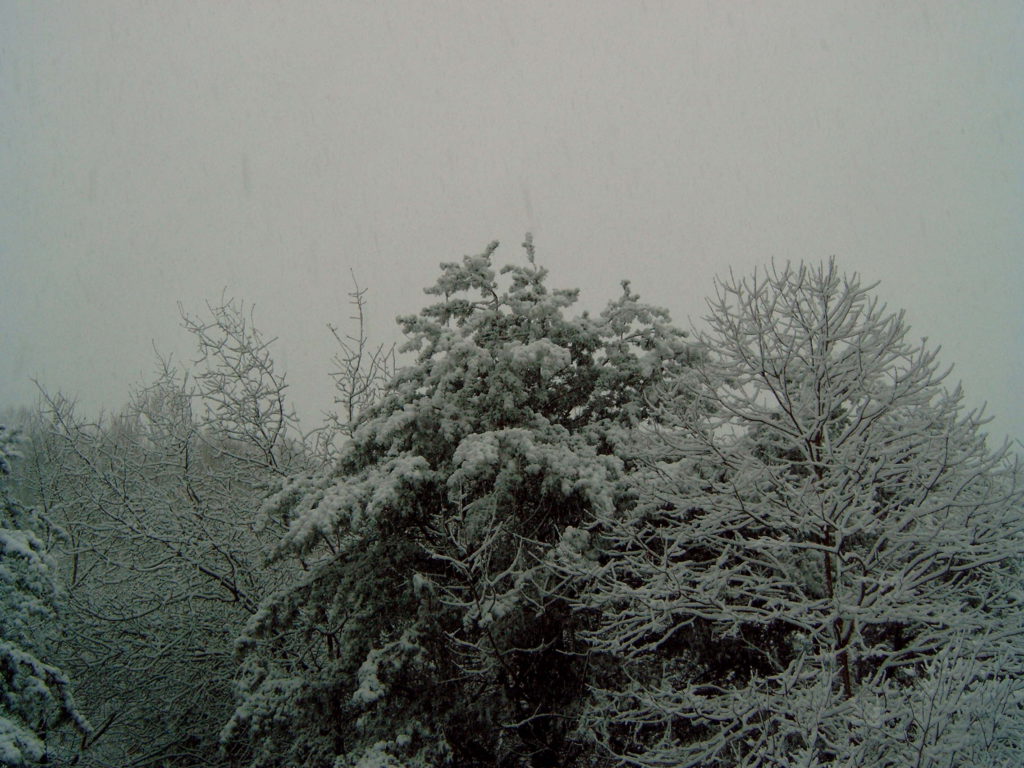 DSC00029.JPG