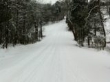 2011 Snow - IMG_0905.jpg