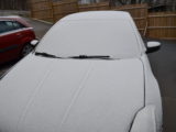 First Snow - DSC_1100.JPG