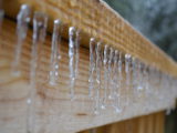 Ice Storm - DSC_1182.JPG