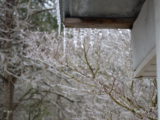 DSC_1185.JPG