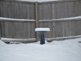 Big Snow - DSC_4022.JPG